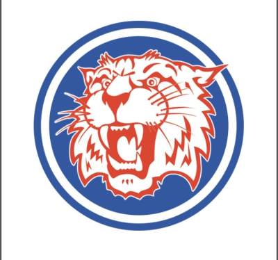Organization Image